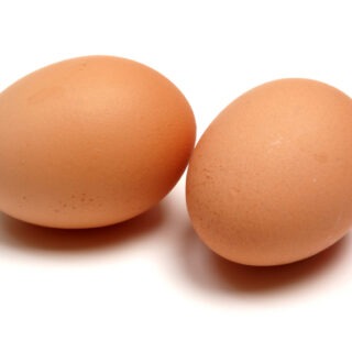 Œufs bio Le Petit Paysan